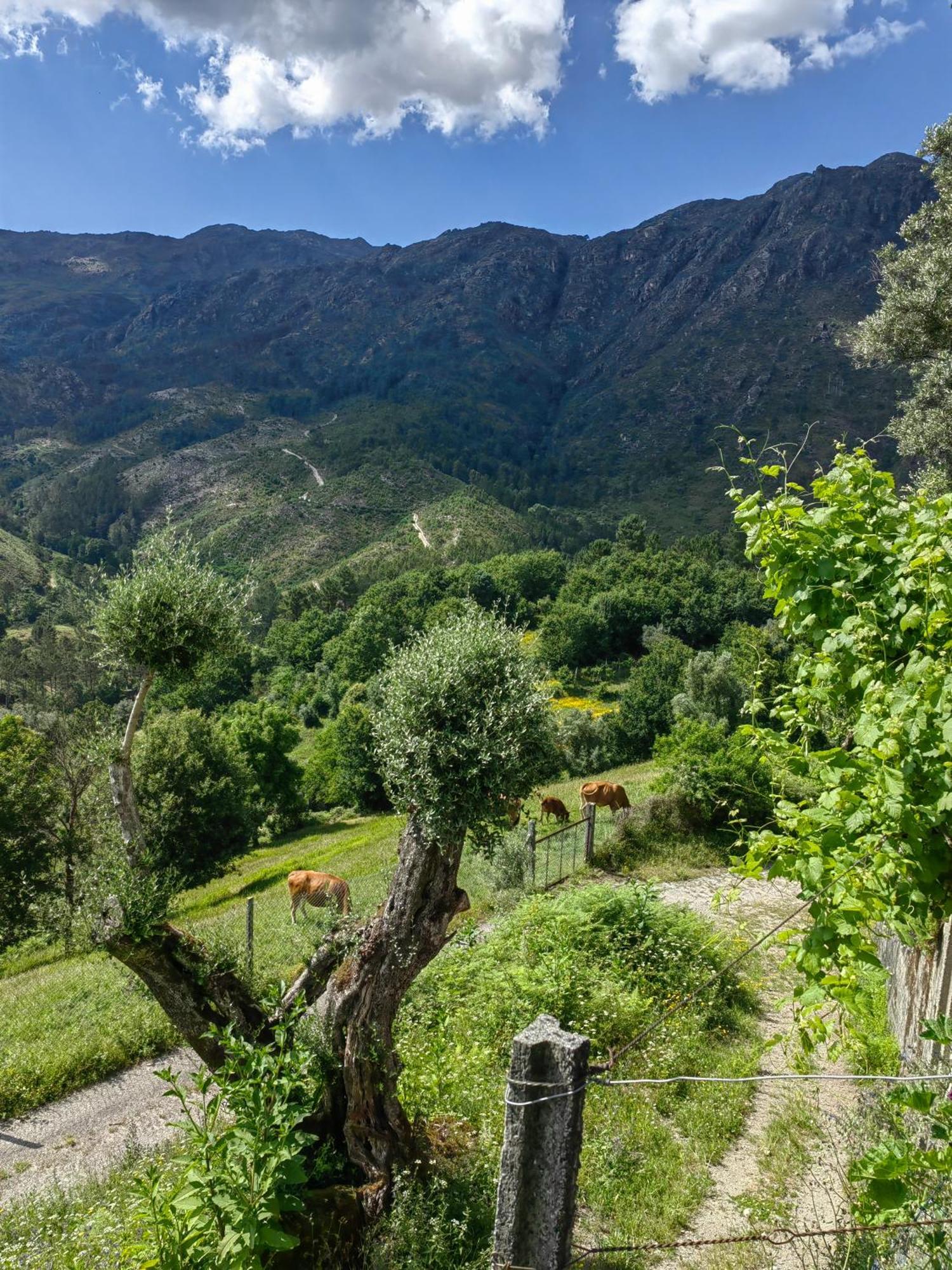 Vale Das 7Lagoas Герес Экстерьер фото